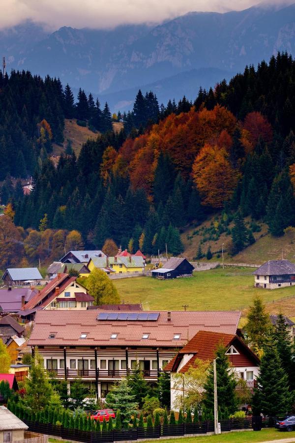 Casa Muntelui Hotel Fundata Luaran gambar