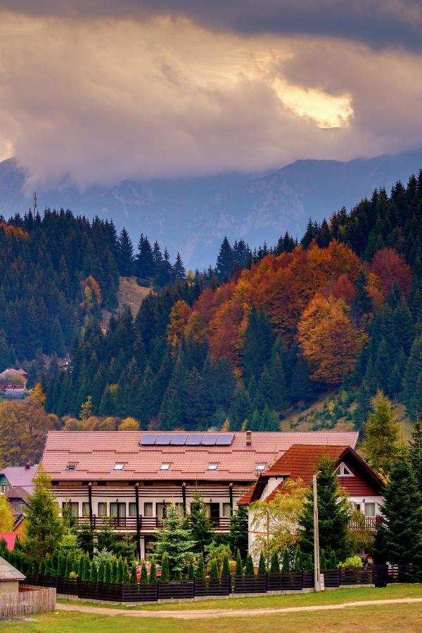 Casa Muntelui Hotel Fundata Luaran gambar